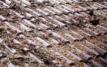 Askham Richard roof cleaning companies