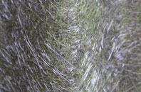 Askham Richard fibreglass roof work